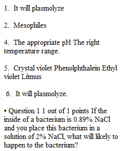 Post Lab - Effect of Temperature and pH
